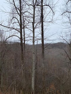 /international/us/0-alsept-fork-road-map-008-00-00-014-salyersville-ky-110106024046/