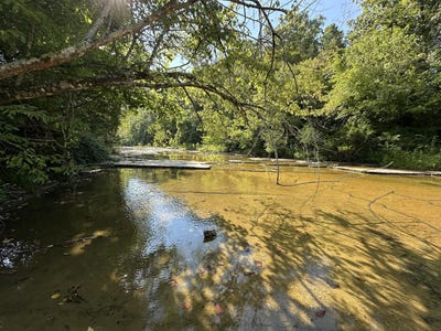 /international/us/3700-west-fork-road-burkesville-ky-110101302739/