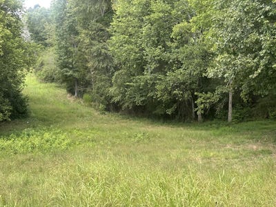 /international/us/evart-road-birchwood-tn-110109962211/