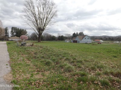 /international/us/132-auggie-belle-lane-speedwell-tn-110106310920/