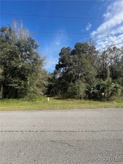 /international/us/5797-n-mckree-terrace-crystal-river-fl-110101102515/?lang=it