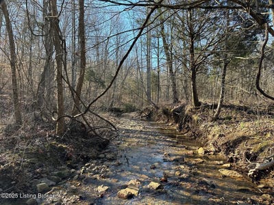 /international/us/lot-15-duvall-rd-caneyville-ky-110099392088/?lang=zh-tw