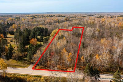 /international/us/xxx-lot-1-getchell-rd-hermantown-mn-110098914132/