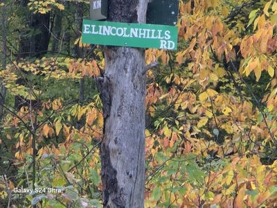 /international/us/2640-e-lincoln-hills-road-luther-mi-110120132114/