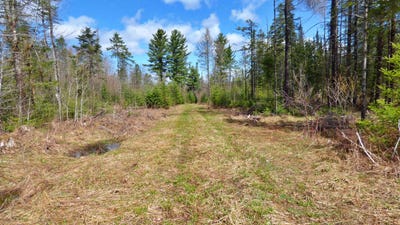 /international/us/spar-hawk-road-wheelock-vt-110105411231/