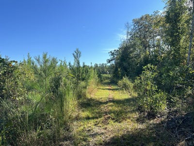 /international/us/parcel-d1-millside-laurel-hill-fl-110106276292/