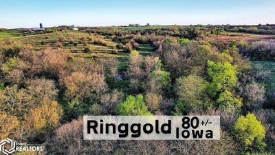 /international/us/hwy-169-mount-ayr-ia-110107748324/