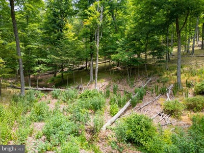 /international/us/lot-55-56-sarah-lincoln-dr-new-creek-wv-110095690282/?lang=en