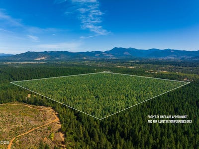 /international/us/sherier-road-cave-junction-or-110120425936/