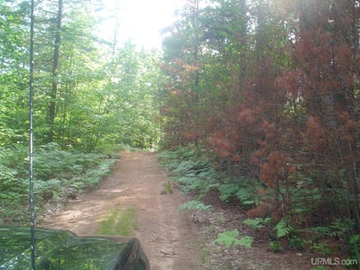 /international/us/9040-bone-lake-newberry-mi-110101002368/