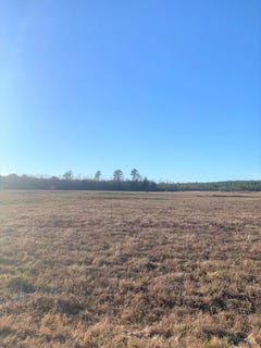 /international/us/hwy-11-ellisville-ms-110081851675/