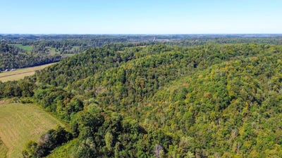 /international/us/hopkins-brown-ln-gainesboro-tn-110120458199/