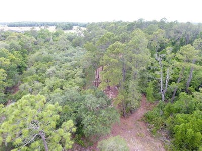 /international/us/155-snake-hill-road-pomona-park-fl-110120124009/