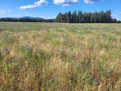 /international/us/short-rd-deer-park-wa-110106917841/