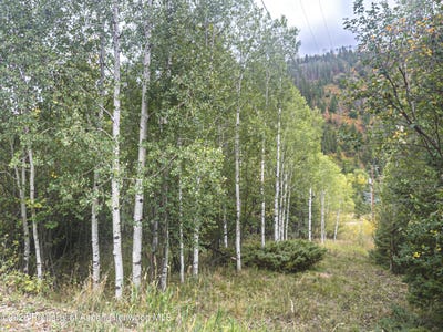 /international/us/62-aspen-street-redstone-co-110119945087/