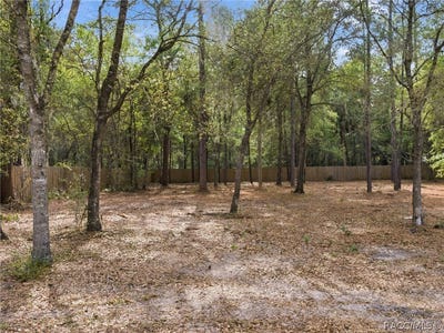 /international/us/9928-w-pinespring-court-crystal-river-fl-110119947495/