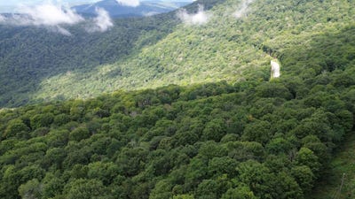 /international/us/6183-cass-road-slatyfork-wv-110099821389/