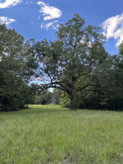 /international/us/w-briar-lake-dr-starkville-ms-110079358210/