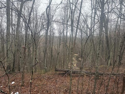 /international/us/91-acres-land-cains-creek-road-sandy-hook-ky-110103363899/