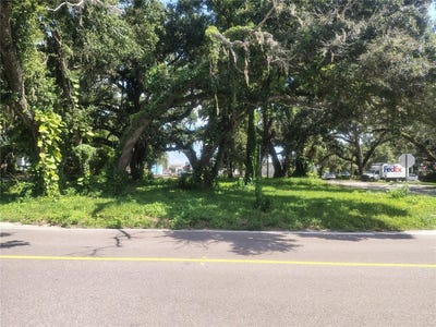 /international/us/113-e-robertson-street-brandon-fl-110101223947/?lang=zh-cn