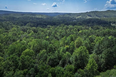 /international/us/00a-w-glazypeau-road-mountain-pine-ar-110101535468/?lang=zh-tw