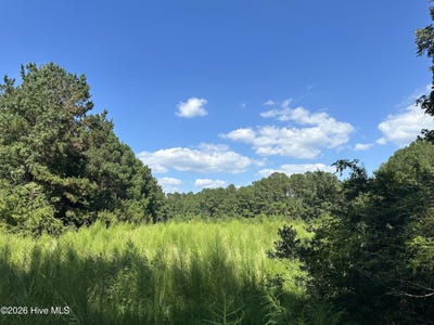 /international/us/1268-cherry-town-road-hallsboro-nc-110110217846/