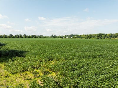 /international/us/webster-road-centerburg-oh-110109990440/