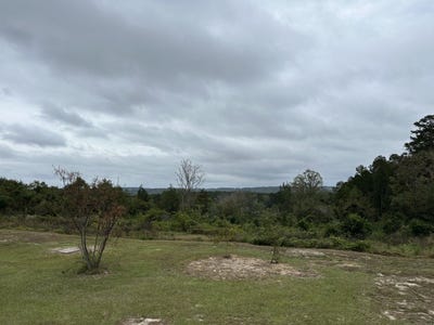 /international/us/0-county-road-11-tract-a-ozark-al-110095749835/