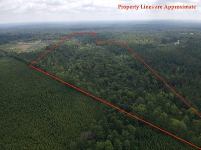 /international/us/0-callison-highway-greenwood-sc-110101300518/?lang=zh-tw