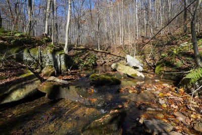 /international/us/earl-ansell-rd-rockwood-pa-110103479776/