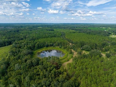 /international/us/lott-rd-wacissa-fl-110120130414/
