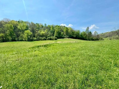 /international/us/1550-barrcut-road-spencer-wv-110107548594/