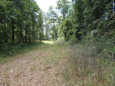 /international/us/w-washington-monticello-fl-110107663766/