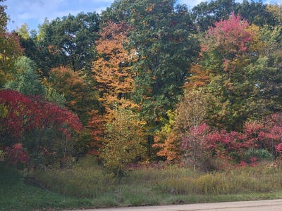 /international/us/74021-ridgeway-drive-lawton-mi-110099137387/