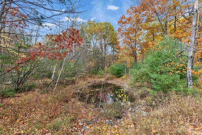 /international/us/9-winterberry-road-brookline-nh-110103423571/