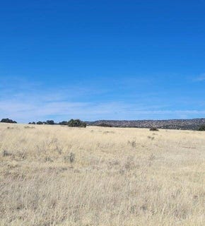 /international/us/xx-airport-quemado-nm-110096328902/