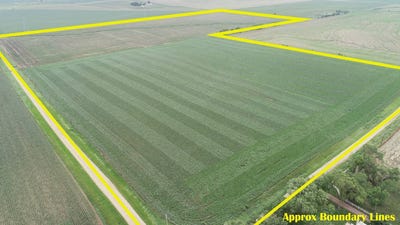 /international/us/29905-478th-ave-hawarden-sd-110101142468/?lang=zh-tw