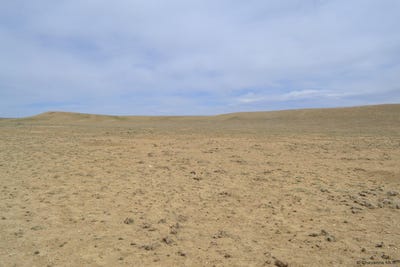 /international/us/tr-161-chaps-st-laramie-wy-110107276955/