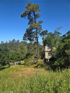 /international/us/0-pierce-avenue-cambria-ca-110099269595/?lang=en