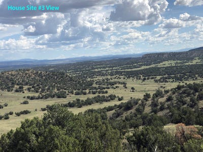 /international/us/nsn-highway-36-fence-lake-nm-110104060102/