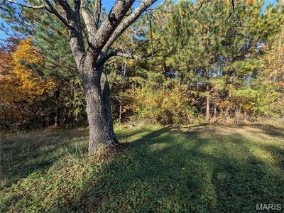 /international/us/0-n-moonbeam-mount-vernon-il-110095485931/