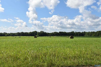 /international/us/63-52-old-quick-road-fayetteville-tn-110092831314/