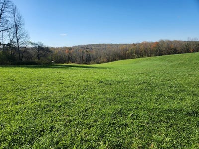/international/us/hoffman-guilford-ny-110102878103/
