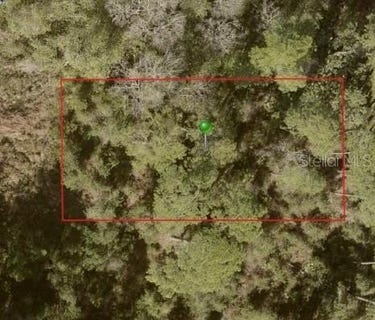 /international/us/10th-ave-deland-fl-110120534196/