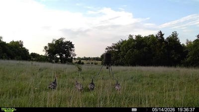 /international/us/80-acres-mol-county-road-69-crescent-ok-110106718810/