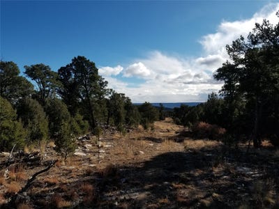 /international/us/pecos-pecos-nm-110103134078/