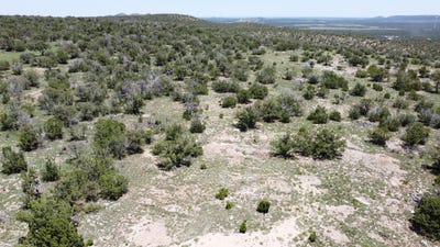 /international/us/swayback-trail-lot-17-corona-nm-110100867183/?lang=zh-tw