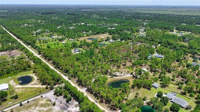 /international/us/13955-87th-street-fellsmere-fl-110109242643/
