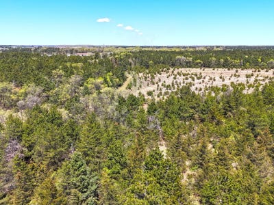 /international/us/pine-road-nw-rice-mn-110103735279/