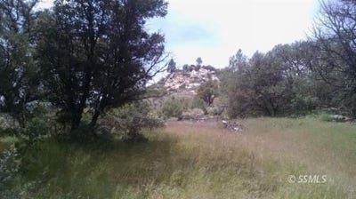 /international/us/jawbone-canyon-caliente-ca-110098216080/